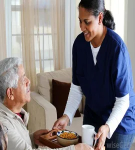 Personal Assistance Care Services in Senji
