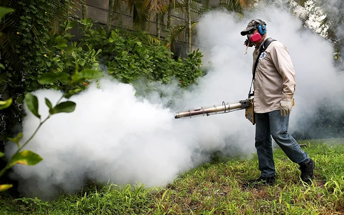 Safe and effective home mosquito control services in Pondicherry for a healthy living environment