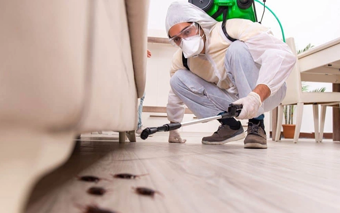 Reliable residential pest control services in Pondicherry to protect homes from insects, rodents, and pests