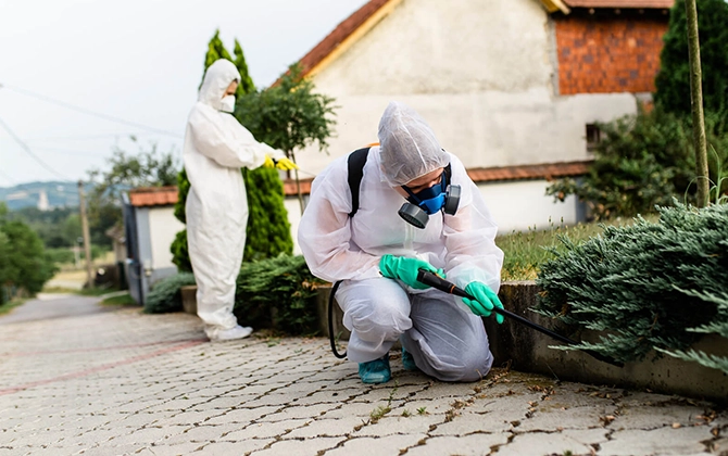 Professional termite prevention services in Pondicherry to protect houses from termite infestation & damage